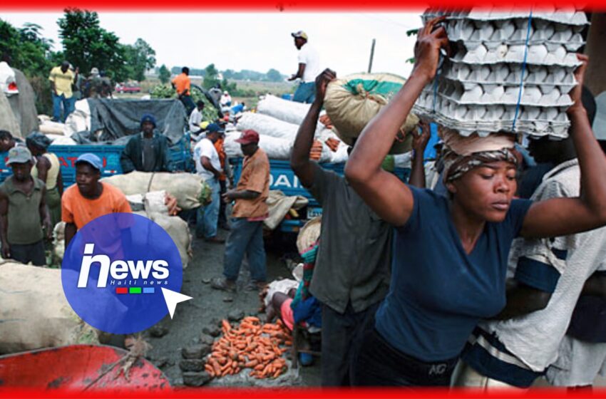  Des commerçants haïtiens rançonnés au marché de Dajabón
