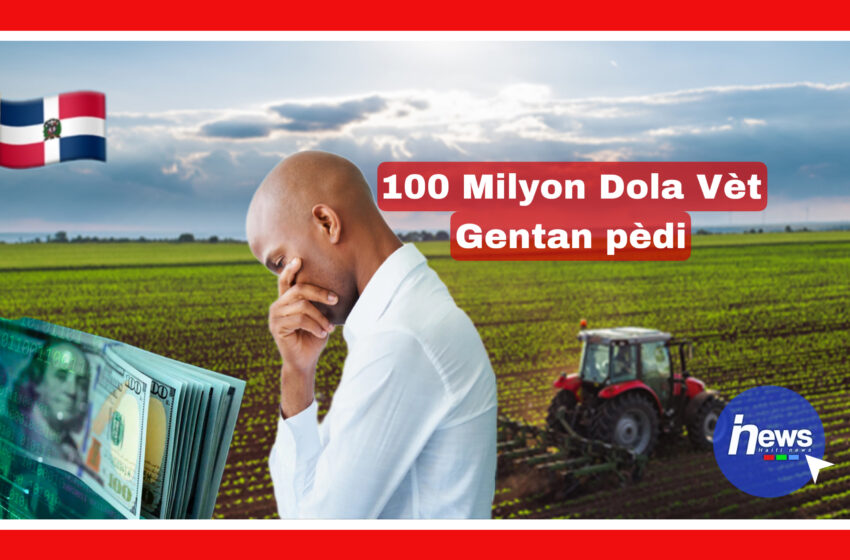  Sektè prive dominiken an pèdi 100 milyon dola