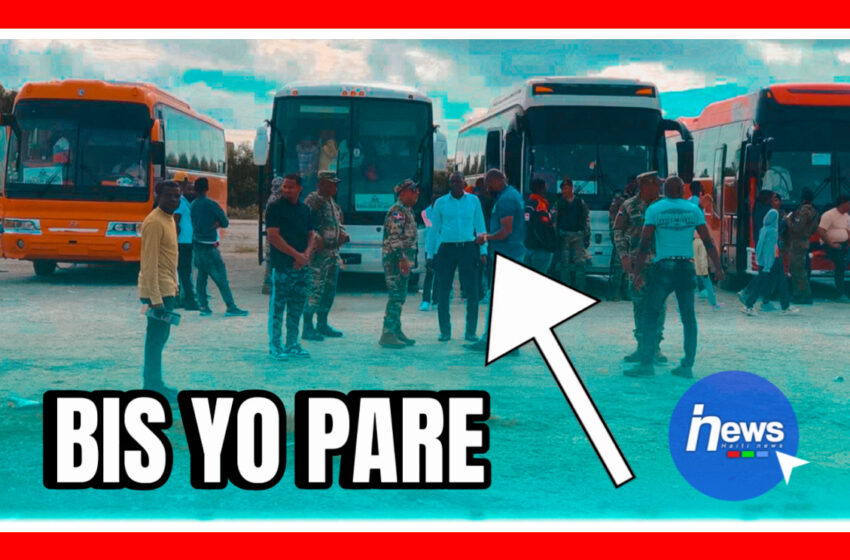  Ayisyen ki vle kite Sendomeng volontèman kapab fè sa