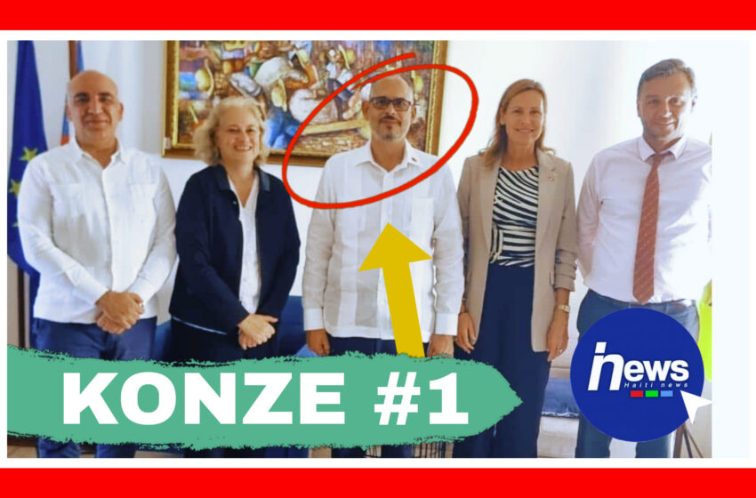  Kominote entènasyonal la sanble gen gwo enterè nan Alix Didier Fils-Aimé