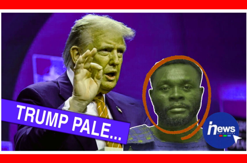  Donald Trump di ayisyen ki te touye dam nan se yon bèt