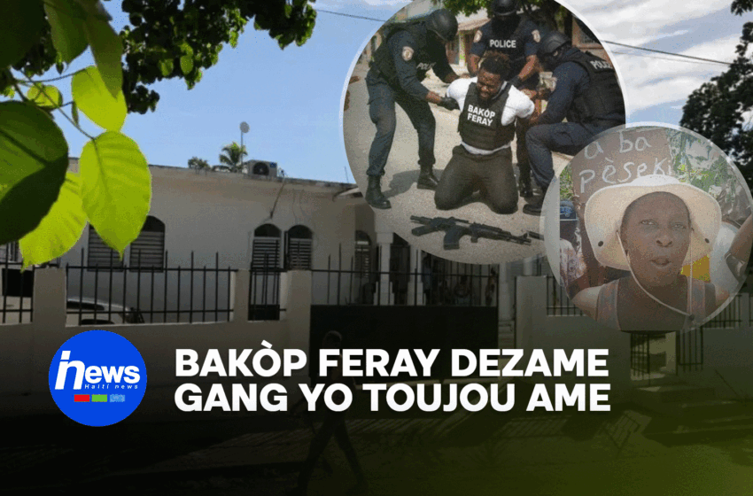  Mibalè: Bakòp Feray dezame, kriminèl yo rete ak zam pa yo nan men yo