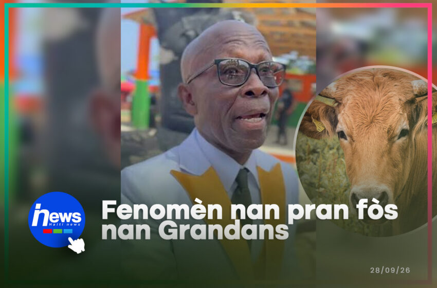  Fenomèn koupe tèt bèf la kontinye ap fè raj nan Grandans