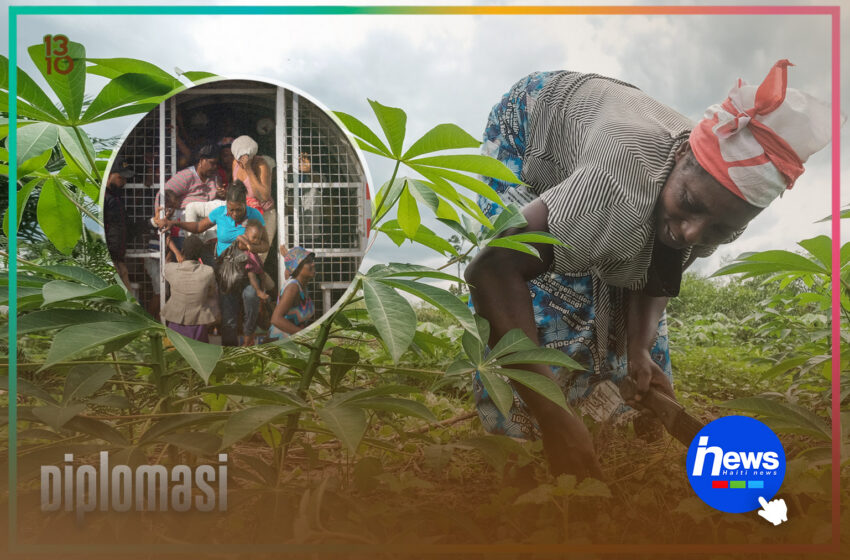  Depòtasyon Ayisyen yo menase pwodiksyon agrikòl Sendomeng lan